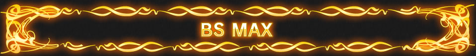 BS MAX
